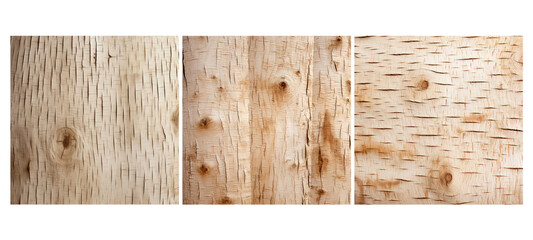 hard birch wood texture grain illustration timber tree, brown natural, working background hard birch wood texture grain