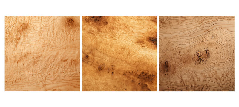 timber birds eye maple wood texture grain illustration tree brown, natural working, background lumber timber birds eye maple wood texture grain