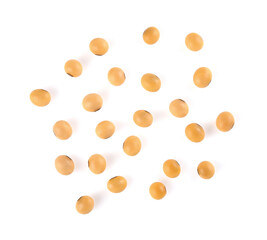 Soybeans isolated on white background.