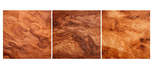 hard burl cedar wood texture grain illustration timber tree, brown natural, working background hard burl cedar wood texture grain