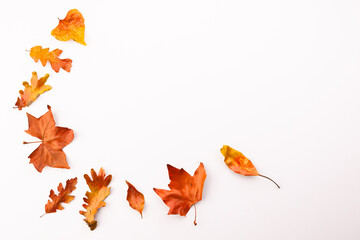 Fototapeta premium Autumn leaves with copy space on white background