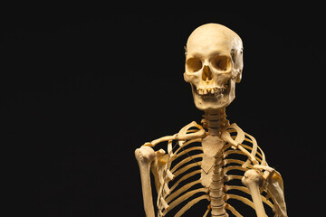 Plastic skeleton with copy space on black background