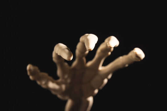 Plastic skeleton hand with copy space on black background