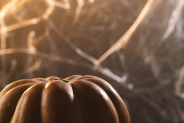 Pumpkin and spiderweb decorations with copy space on black background