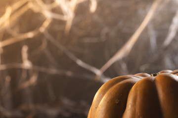 Pumpkin and spiderweb decorations with copy space on black background
