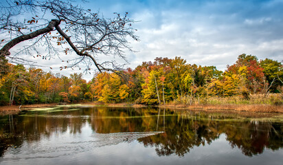 Stunningly Beautiful Serene Fall Landscape with Autumn Colors in the trees being reflected  in a...