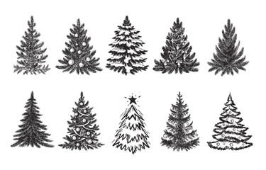 Christmas tree hand drawn illustration	
