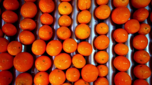 This footage of Naartjie's rolling on a machine for fruit packaging