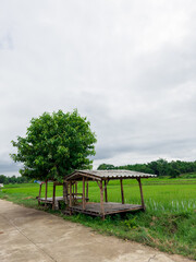 Obraz premium cottage with tree in cloudy day