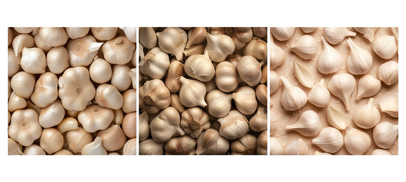 ingredient garlic food texture background illustration cooking pungent, bulb cloves, seasoning culinary ingredient garlic food texture background