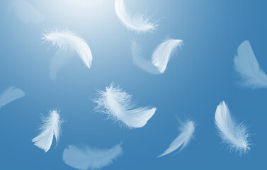 Abstract fluffy White Bird Feathers Falling in The Sky. Freedom, Softness Plumage, Feathers Floating in Heavenly.	

