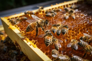 Fotobehang Closeup beekeeper with honeycomb frame, bees crafting liquid gold, a symbiotic dance © Muhammad Shoaib