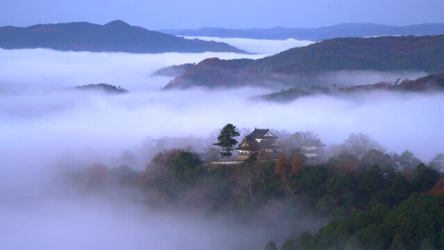 日本の岡山県の夜明けの備中松山城と雲海。