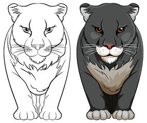 Black Panther Cartoon Walking