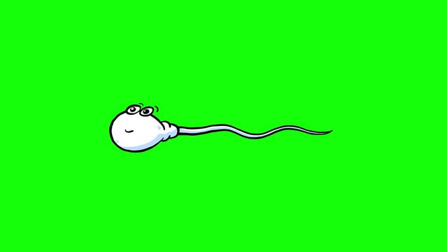 Sperm cell cartoon animated character isolated green screen. Animation loop cute doodle character.