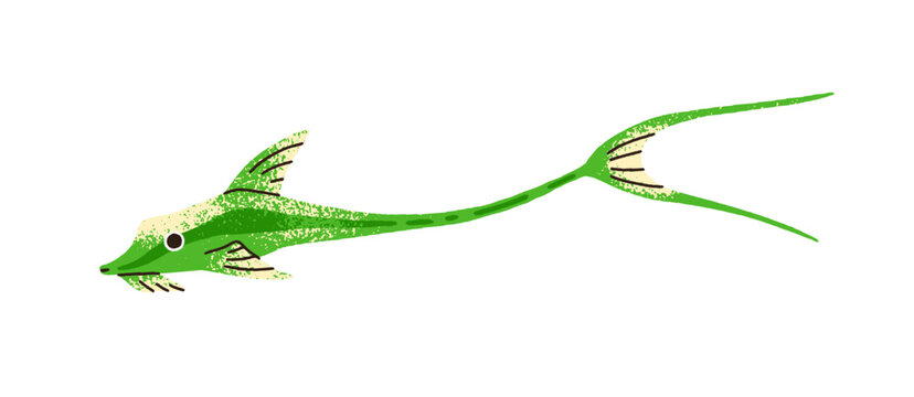 Cute exotic fish with double split tail. Tropical sea water animal swimming. Marine small little species. Ornamental underwater fauna. Flat graphic vector illustration isolated on white background