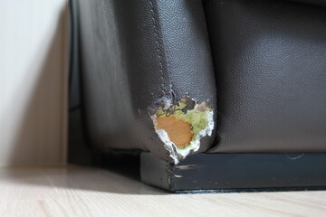 Corner of sofa damaged by dog bite