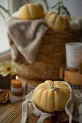 Cozy still life with pumpkin, candle and small pumpkins