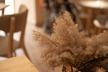 A bouquet of dry plants on the background of the cafe interior