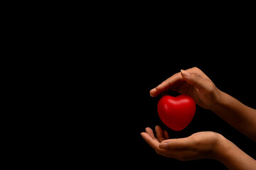 Woman hands holding red heart isolated black background. Healthcare, medicine, cardiology and love concept