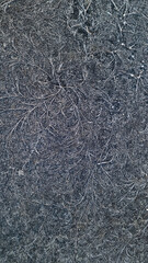 Frostwork on a paving stone