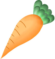 sliced cucumber isolated on white background