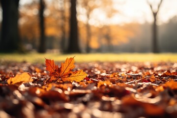 Autumn leaves covering the ground, Blurred Image for Text Overlay - Fall's Blanket - AI Generated