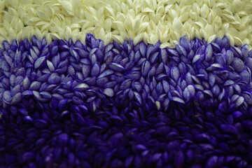 ฺBeautiful fabric set to asian people wear