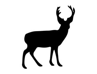 Deer silhouette vector art white background
