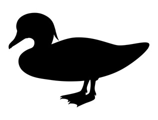Wood duck silhouette vector art