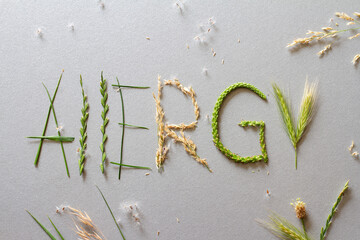 Word "allergy" made of different grasses, pollen and grass allergy concept