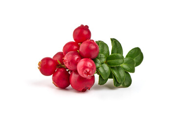 Fresh wild lingonberry berries with leaves, isolated on white background.