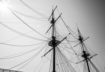 Ship masts in the sky, bottom view, black and white photo.