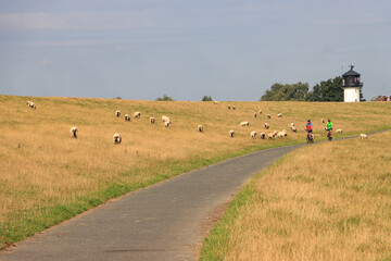 Elberadweg vor Cuxhaven, Blick zur 