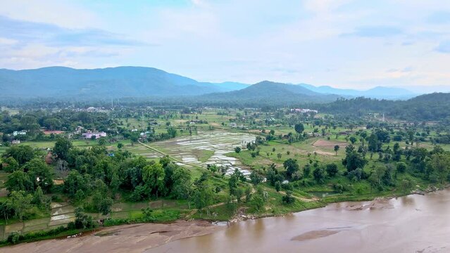 Aerial view of green farm fields before harvesting, drone view of the farm in Jharkhand, India. Rice Field Aerial in India. Drone shot of paddy or rice fields during monsoon season. Agriculture in Ind