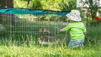 Ein kleiner Junge kniet vor einem Hasengehege im Freien