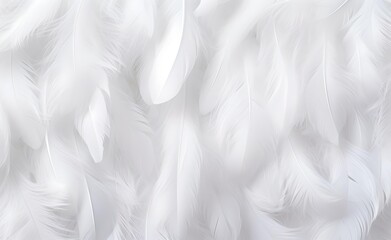 Fototapeta premium White feathers background, pattern.