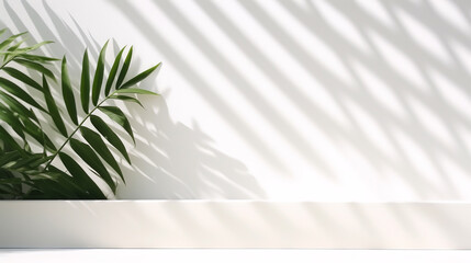abstract background with palm tree against the backdrop of a white wall lit by the sun, legal AI