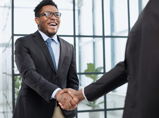 Businessman shaking hands with colleagues. Handshake at meeting