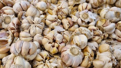 White garlic pile texture. Fresh garlic on market table closeup photo. Vitamin healthy food spice image. Spicy cooking ingredient picture. Pile of white garlic heads. Top view with copy space.