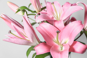 Obraz na płótnie Canvas Beautiful pink lily flowers on light background, closeup