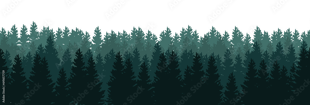 Wall mural seamless green misty coniferous forest pattern isolated on transparent background