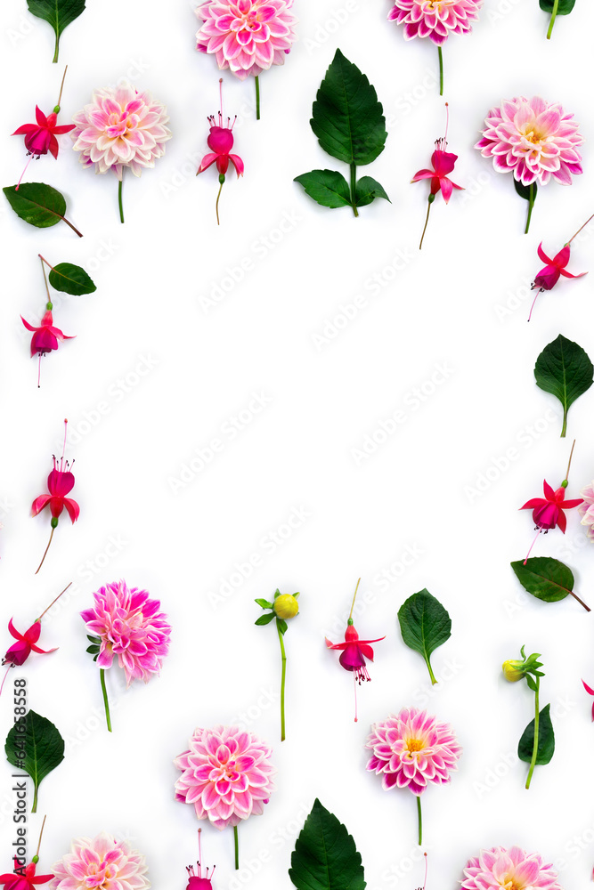 Wall mural flowers pink dahlia and red fuchsia triphylla on a white background with space for text. top view, f
