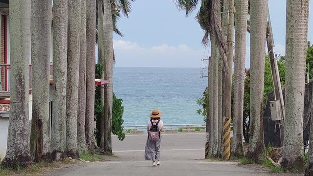 Landscape View Of The Beautiful Eastern Coastline From Coconut Avenue In Front Of Huayuan Elementary School, Taimali, Taitung