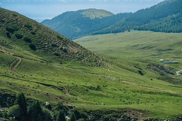 Obraz premium landscape in the mountains