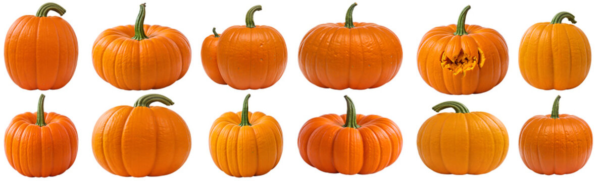 set of pumpkins isolated on transparent background cutout - png - mockup for design - image compositing footage - alpha channel - Thanksgiving