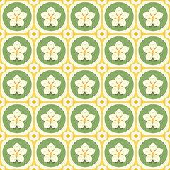 Fototapeta na wymiar Frangipani flower pattern illustration