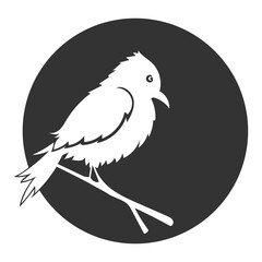 bird logo vector illustration design
