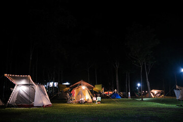 Night camping site firework on green grass