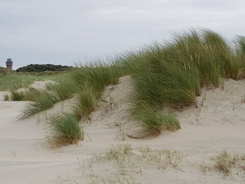Sandd&uuml;ne auf Borkum 